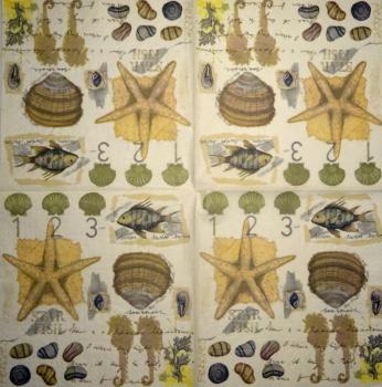 017 Muscheln - 3-lagig